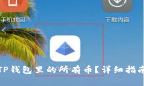 : 如何查看TP钱包里的所有币？详细指南与实用技巧