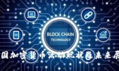 美国加密货币活动现状及