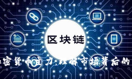 : 加密货币主力：理解市场背后的力量