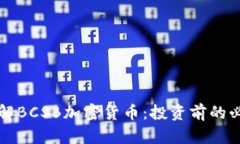 深入了解BCSB加密货币：投