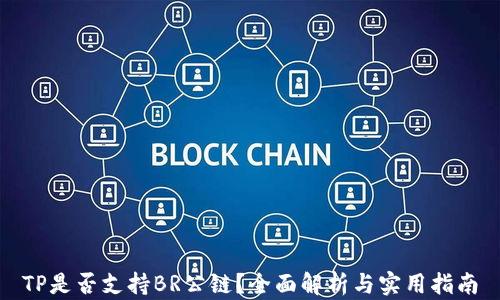 
TP是否支持BR公链？全面解析与实用指南